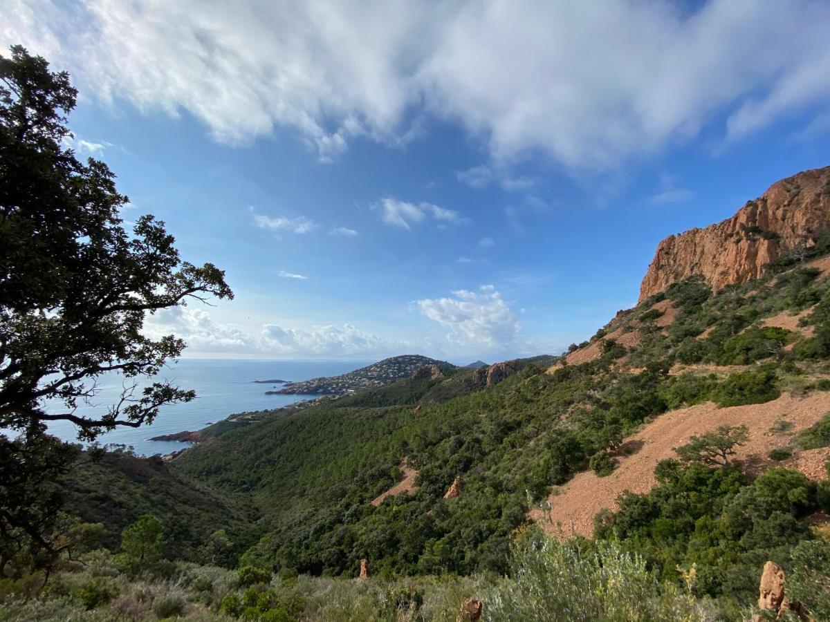 Rev'Azur Διαμέρισμα Fréjus Εξωτερικό φωτογραφία